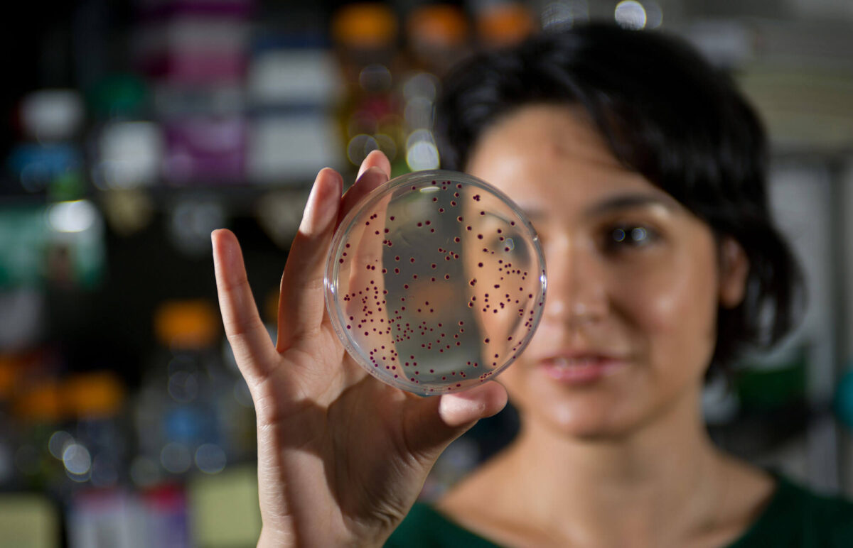 A woman holds up a petri dish